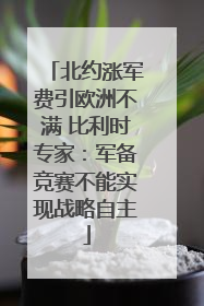 北约涨军费引欧洲不满 比利时专家：军备竞赛不能实现战略自主