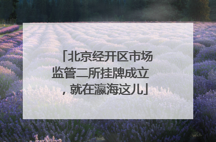北京经开区市场监管二所挂牌成立，就在瀛海这儿