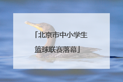 北京市中小学生篮球联赛落幕