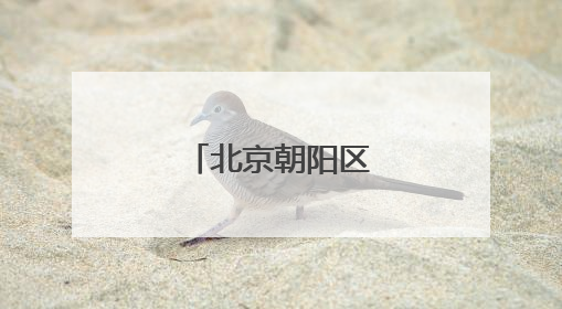 北京朝阳区委书记调整