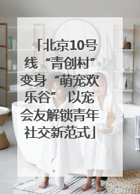 北京10号线“青创村”变身“萌宠欢乐谷” 以宠会友解锁青年社交新范式