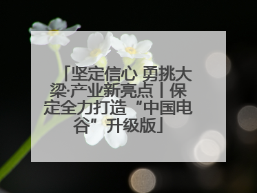 坚定信心 勇挑大梁·产业新亮点丨保定全力打造“中国电谷”升级版