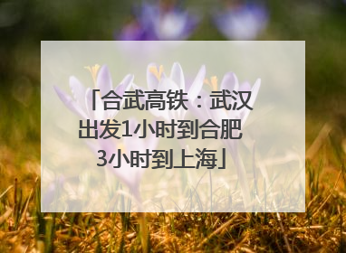 合武高铁：武汉出发1小时到合肥3小时到上海