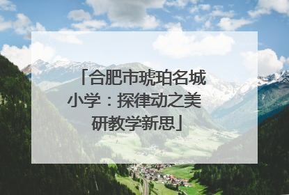 合肥市琥珀名城小学：探律动之美 研教学新思