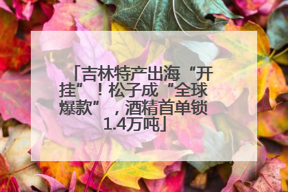 吉林特产出海“开挂”！松子成“全球爆款”，酒精首单锁1.4万吨