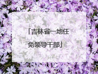 吉林省一地任免领导干部