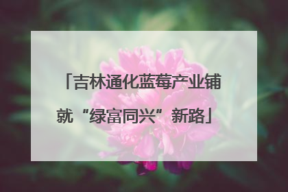 吉林通化蓝莓产业铺就“绿富同兴”新路