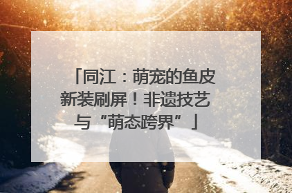 同江：萌宠的鱼皮新装刷屏！非遗技艺与“萌态跨界”
