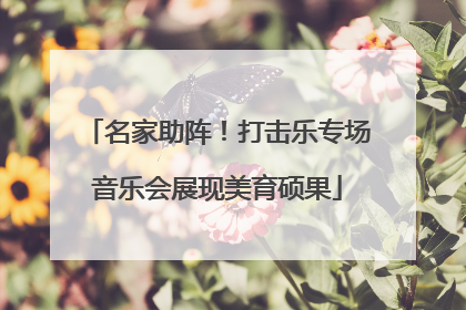 名家助阵！打击乐专场音乐会展现美育硕果