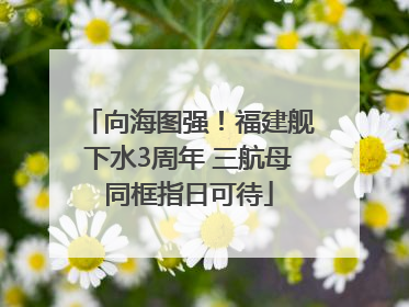向海图强！福建舰下水3周年 三航母同框指日可待