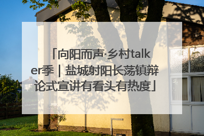 向阳而声·乡村talker季｜盐城射阳长荡镇辩论式宣讲有看头有热度
