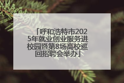 呼和浩特市2025年就业创业服务进校园暨第8场高校巡回招聘会举办
