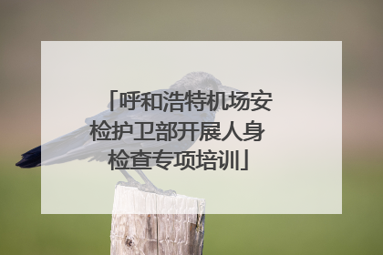呼和浩特机场安检护卫部开展人身检查专项培训