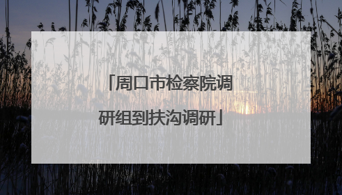 周口市检察院调研组到扶沟调研