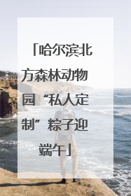 哈尔滨北方森林动物园“私人定制”粽子迎端午