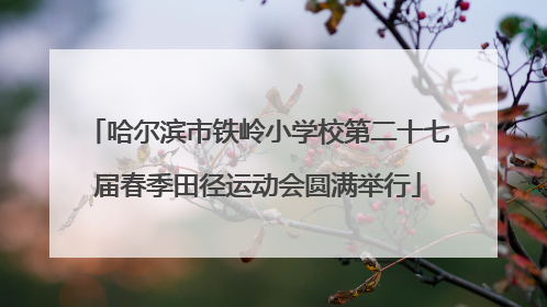哈尔滨市铁岭小学校第二十七届春季田径运动会圆满举行