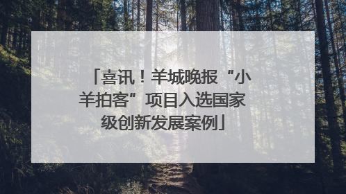 喜讯！羊城晚报“小羊拍客”项目入选国家级创新发展案例