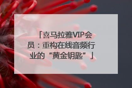 喜马拉雅VIP会员：重构在线音频行业的“黄金钥匙”