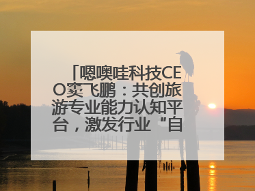 嗯噢哇科技CEO窦飞鹏：共创旅游专业能力认知平台，激发行业“自生长”力量