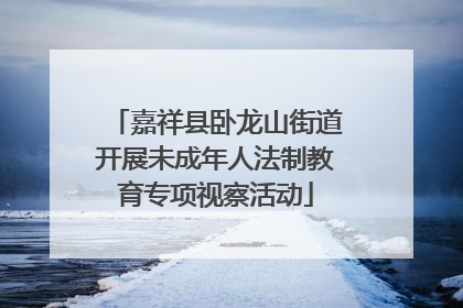 嘉祥县卧龙山街道开展未成年人法制教育专项视察活动