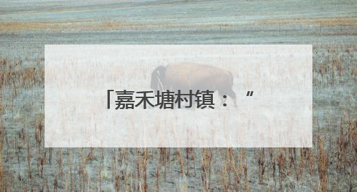 嘉禾塘村镇：“送岗进村”架起就业“连心桥”