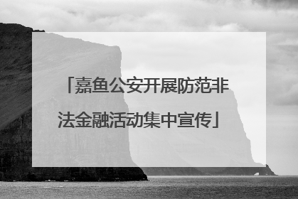 嘉鱼公安开展防范非法金融活动集中宣传