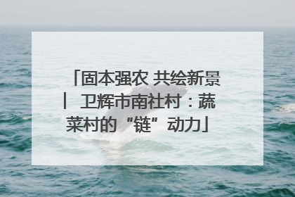 固本强农 共绘新景 ︳卫辉市南社村：蔬菜村的“链”动力