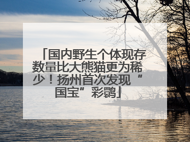 国内野生个体现存数量比大熊猫更为稀少！扬州首次发现“国宝”彩鹮