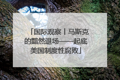 国际观察丨马斯克的黯然退场——起底美国制度性腐败