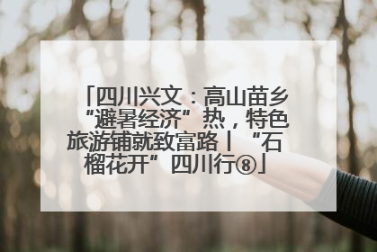 四川兴文：高山苗乡“避暑经济”热，特色旅游铺就致富路丨“石榴花开”四川行⑧