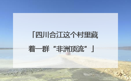 四川合江这个村里藏着一群“非洲顶流”