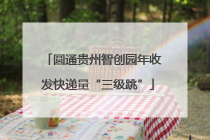 圆通贵州智创园年收发快递量“三级跳”