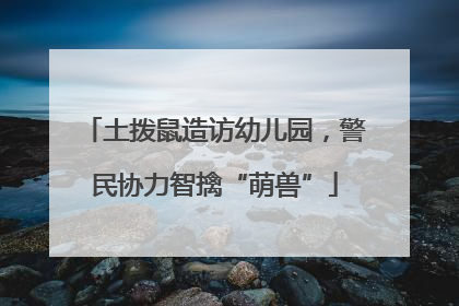 土拨鼠造访幼儿园，警民协力智擒“萌兽”