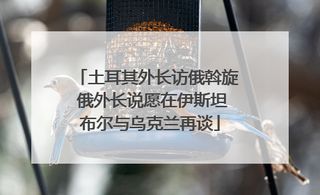 土耳其外长访俄斡旋 俄外长说愿在伊斯坦布尔与乌克兰再谈