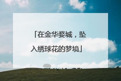 在金华婺城，坠入绣球花的梦境