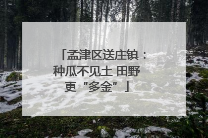 孟津区送庄镇：种瓜不见土 田野更“多金”