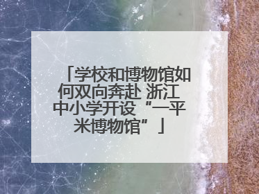 学校和博物馆如何双向奔赴 浙江中小学开设“一平米博物馆”