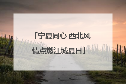 宁夏同心 西北风情点燃江城夏日