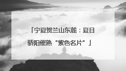 宁夏贺兰山东麓：夏日骄阳催熟“紫色名片”