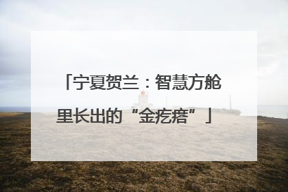 宁夏贺兰：智慧方舱里长出的“金疙瘩”