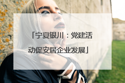 宁夏银川：党建活动促安居企业发展