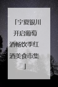 宁夏银川 开启葡萄酒畅饮季红酒美食市集
