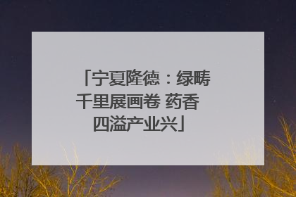 宁夏隆德：绿畴千里展画卷 药香四溢产业兴