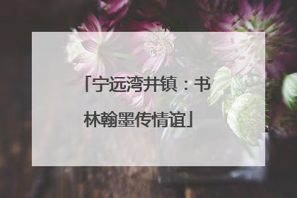 宁远湾井镇：书林翰墨传情谊