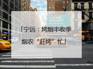 宁远：烤烟丰收季 烟农“赶烤”忙