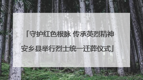 守护红色根脉 传承英烈精神 安乡县举行烈士统一迁葬仪式