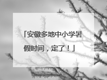 安徽多地中小学暑假时间，定了！