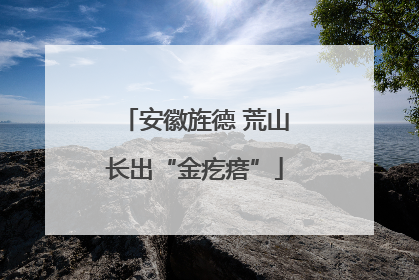 安徽旌德 荒山长出“金疙瘩”