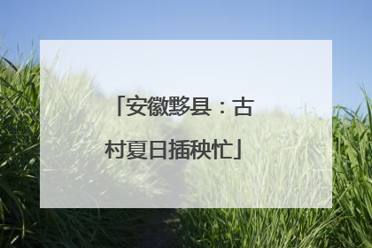 安徽黟县：古村夏日插秧忙