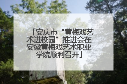 安庆市“黄梅戏艺术进校园”推进会在安徽黄梅戏艺术职业学院顺利召开